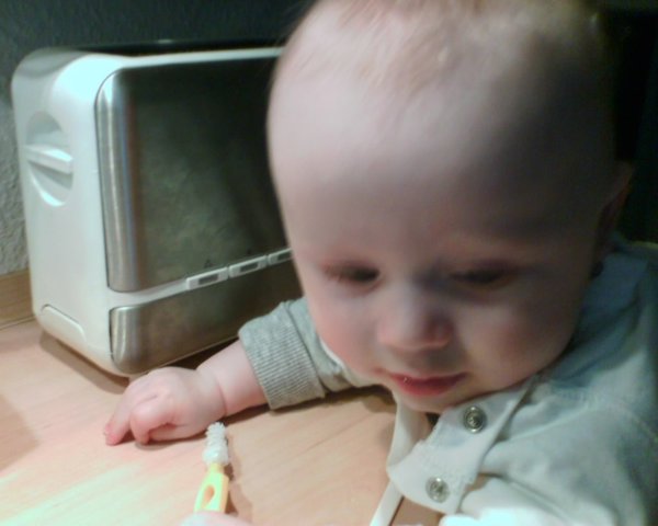 img224.jpg